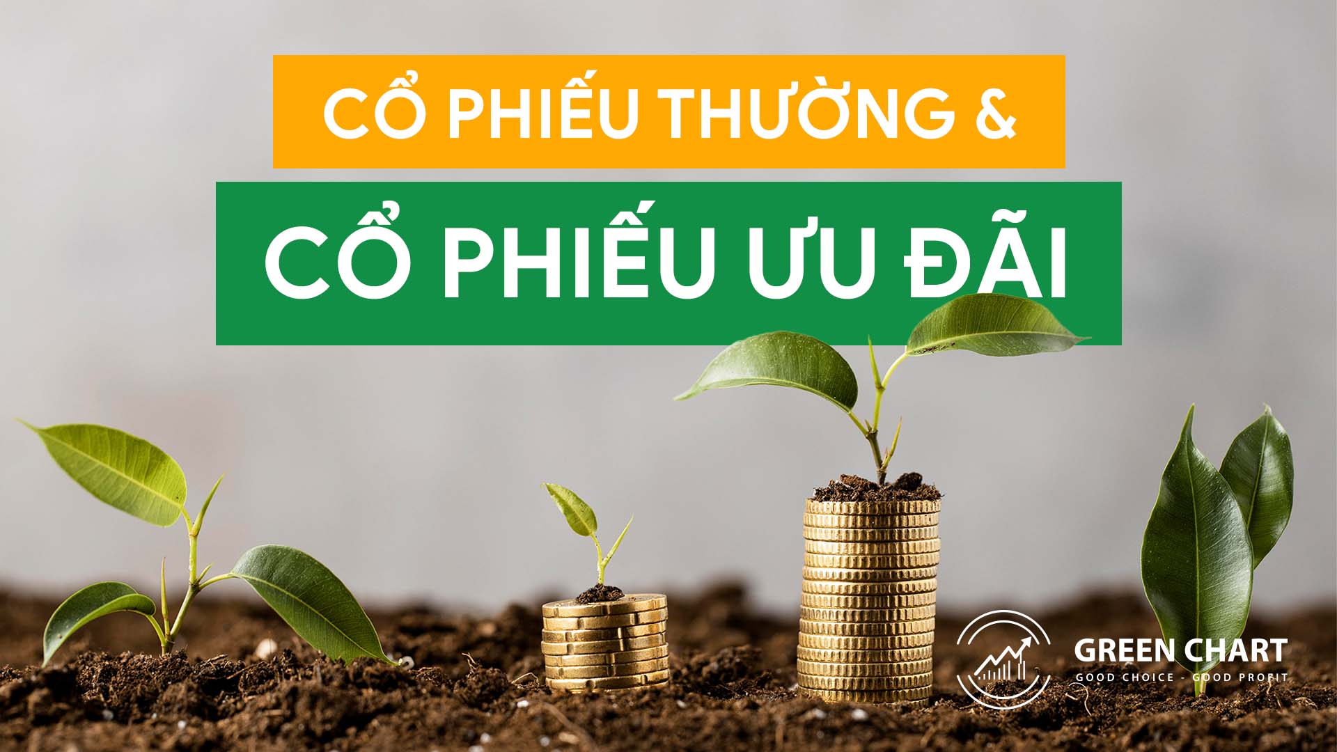 Cổ phiếu thường và cổ phiếu ưu đãi là gì?