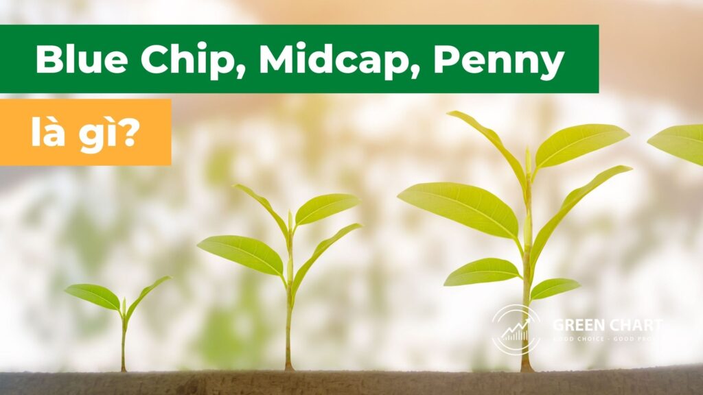 Cổ phiếu Blue Chip, Midcap, Penny là gì?