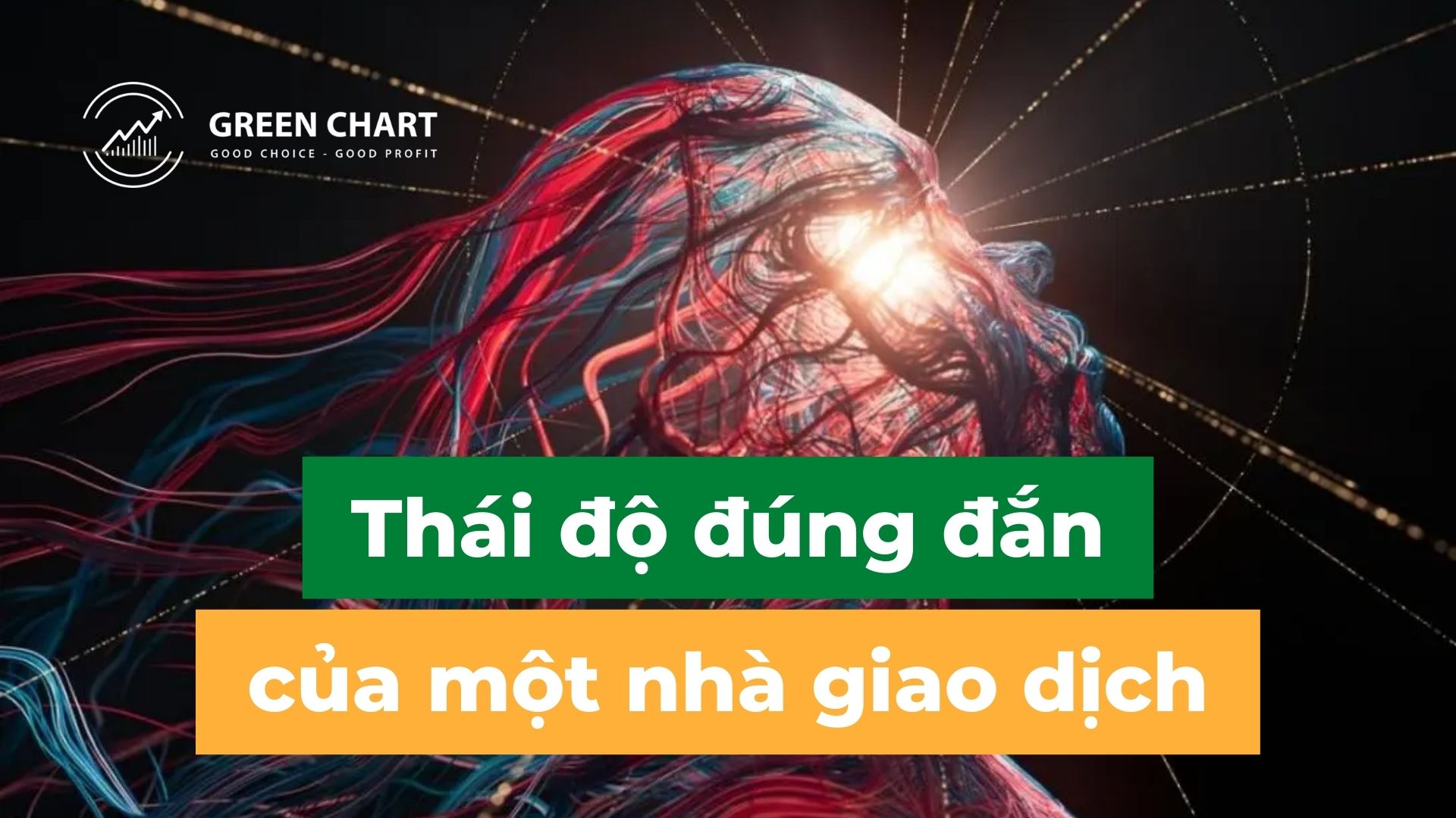 Thái độ đúng đắn của một nhà giao dịch