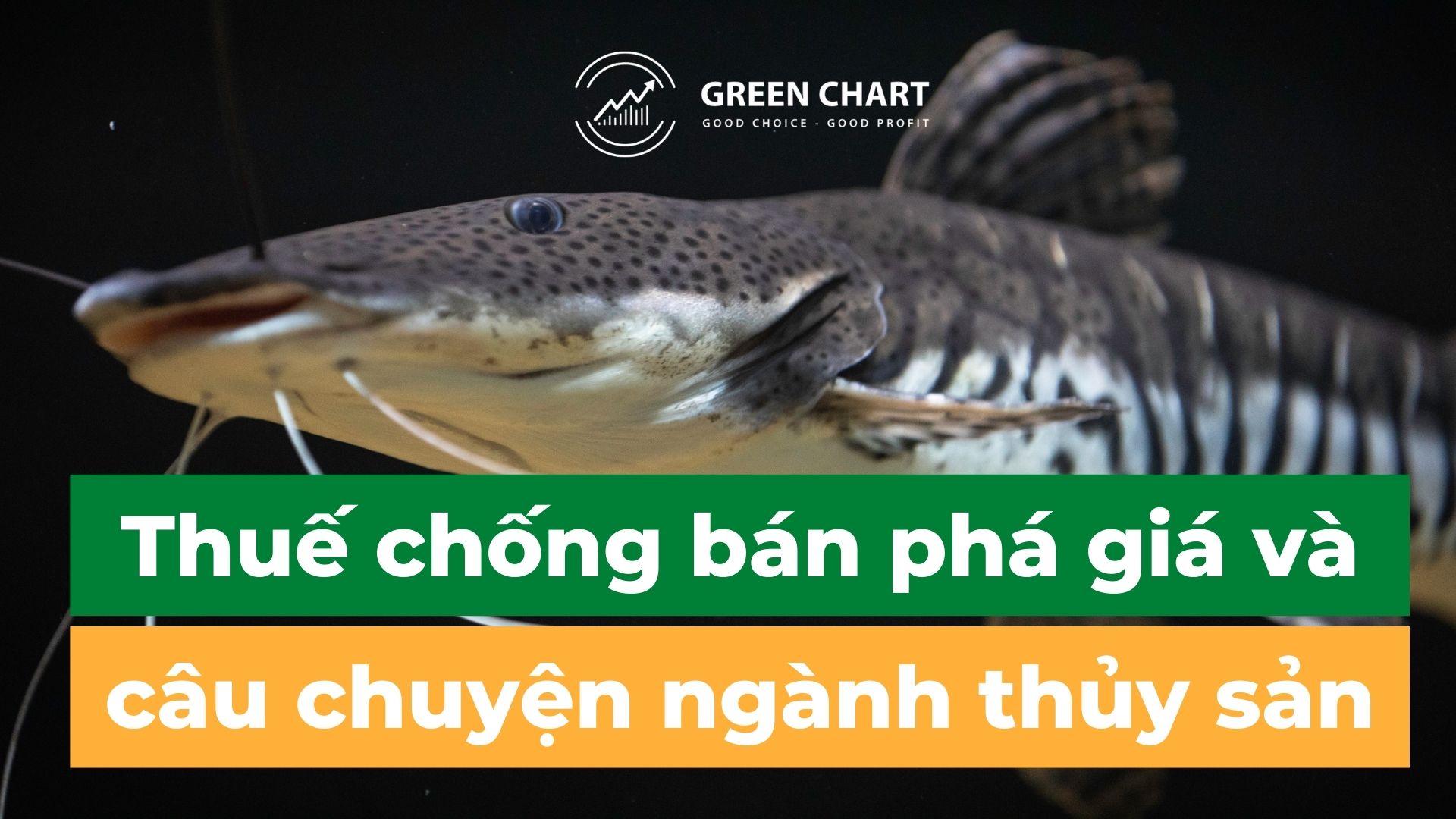Thuế chống bán phá giá và câu chuyện ngành thủy sản