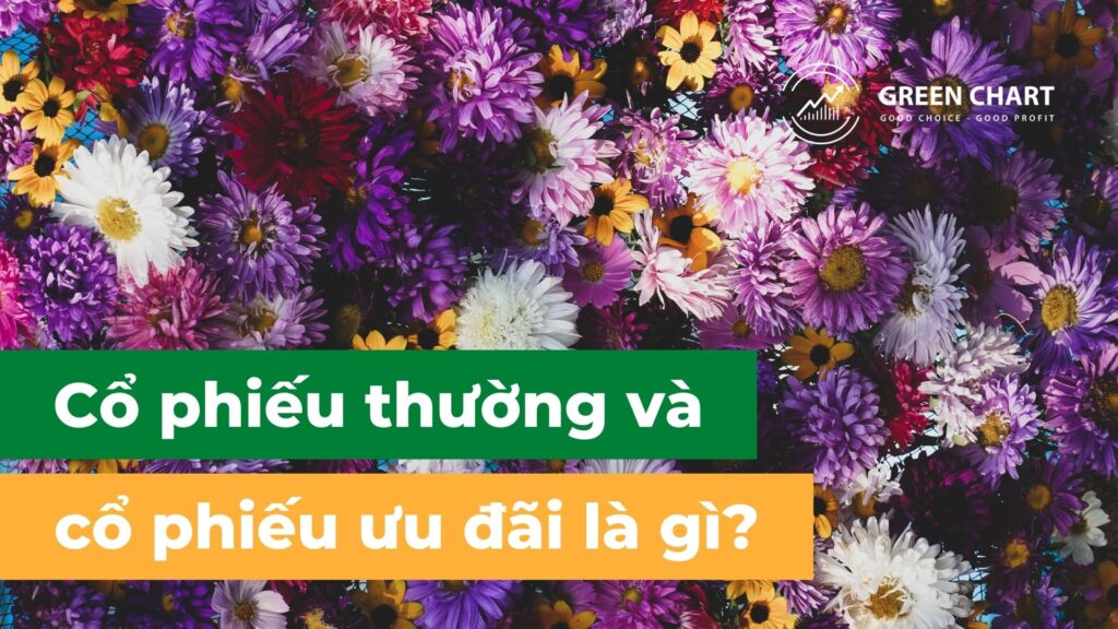Cổ phiếu thường và cổ phiếu ưu đãi là gì? 1 Cổ phiếu thường và cổ phiếu ưu đãi là gì?