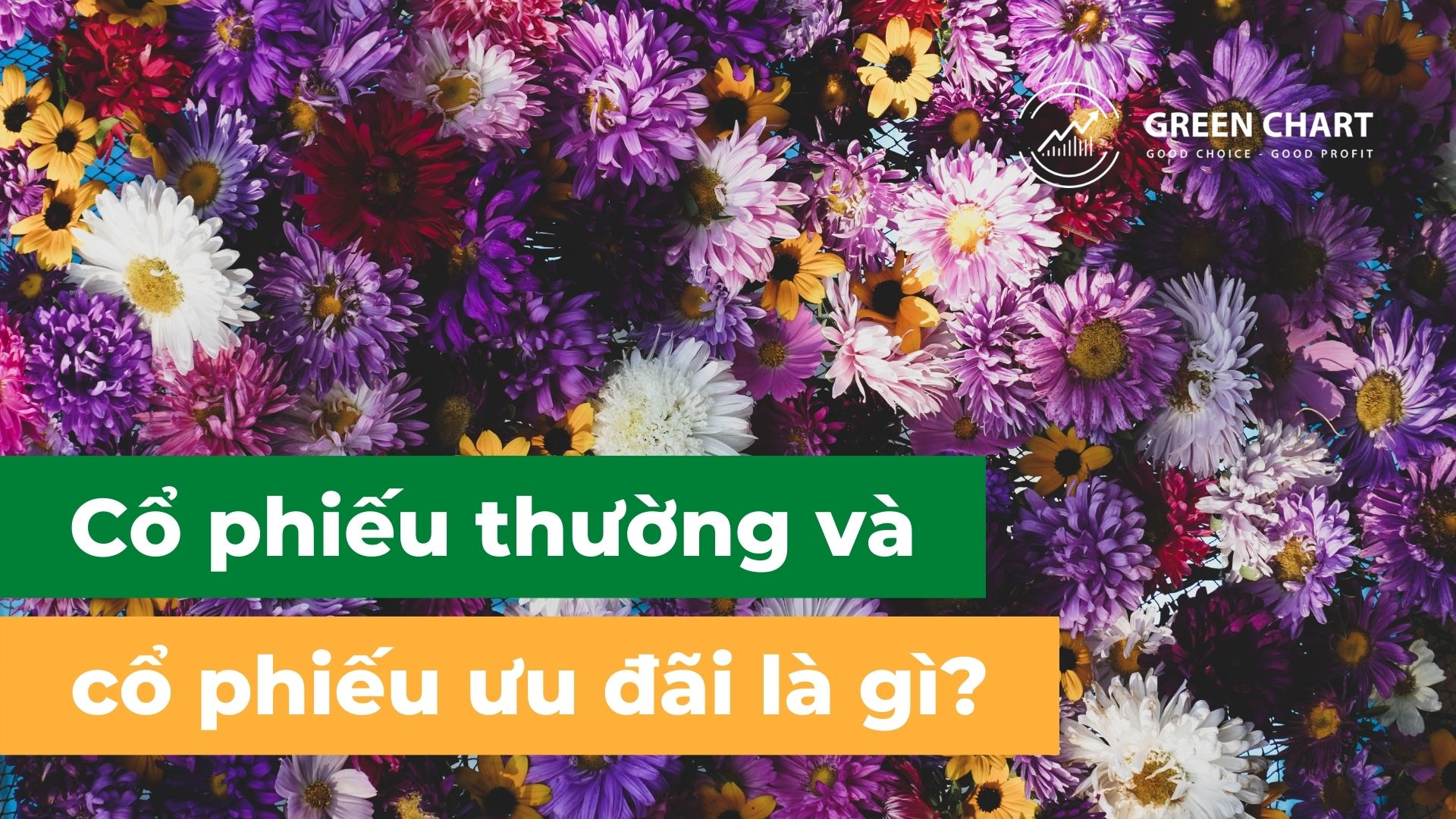 Cổ phiếu thường và cổ phiếu ưu đãi là gì?