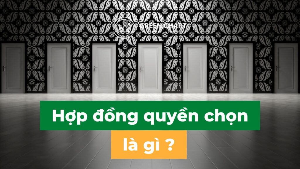 Kiến thức cơ bản về Hợp đồng quyền chọn (Option) 1 Kiến thức cơ bản về Hợp đồng quyền chọn (Option)