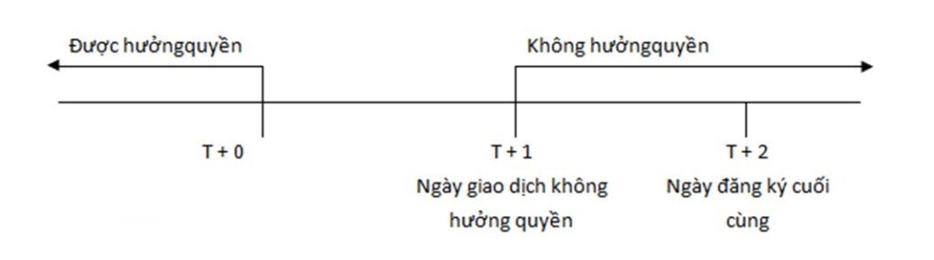 Cổ tức là gì? Những vấn đề cơ bản về cổ tức