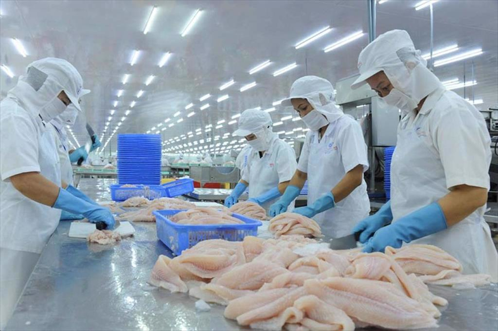 Thuế chống bán phá giá và câu chuyện ngành thủy sản