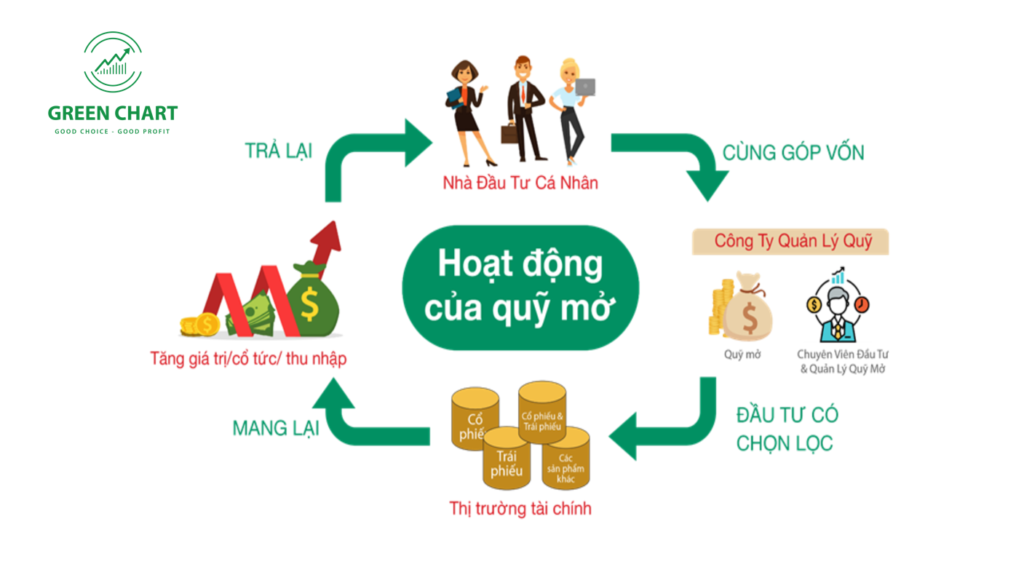 Quỹ đầu tư là gì? Tìm hiểu về quỹ mở và quỹ đóng